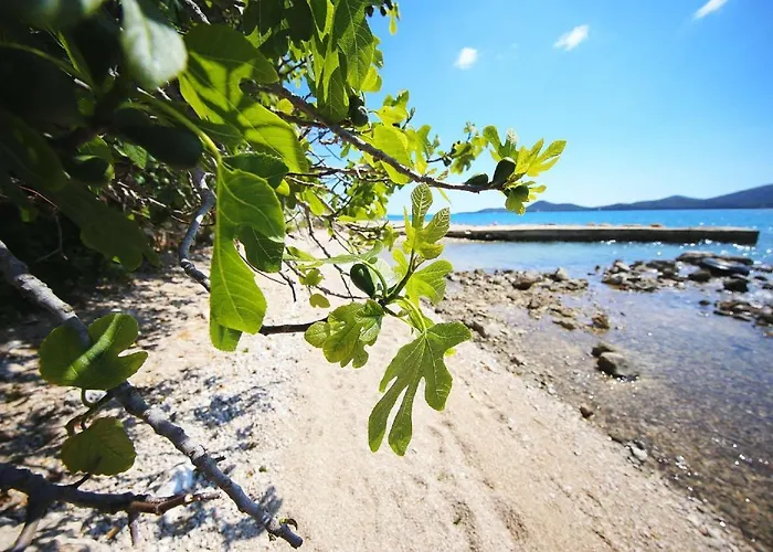 Mobile Plumeria 1 בית נופש *