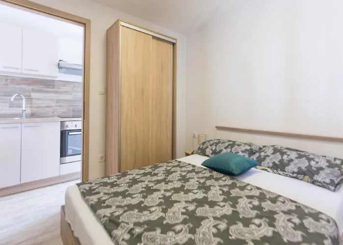 Mobile Plumeria 1 Biograd Na Moru